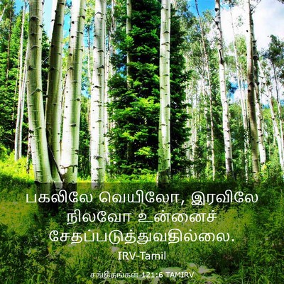 Picture 03 - சங்கீதங்கள் 121:6 TAMIRV - பகலிலே வெயிலோ, - Bible Verse Picture