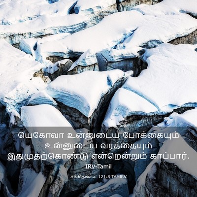 Picture 03 - சங்கீதங்கள் 121:8 TAMIRV - யெகோவா உன்னுடைய - Bible Verse Picture
