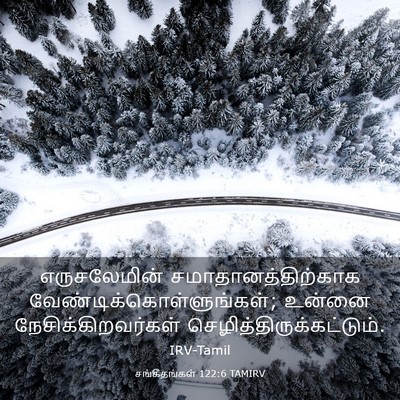 Picture 03 - சங்கீதங்கள் 122:6 TAMIRV - எருசலேமின் - Bible Verse Picture