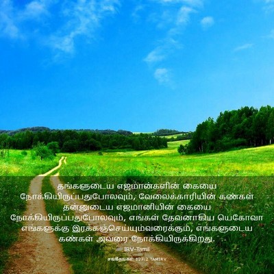 Picture 03 - சங்கீதங்கள் 123:2 TAMIRV - தங்களுடைய - Bible Verse Picture