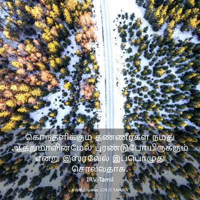 Picture 03 - சங்கீதங்கள் 124:5 TAMIRV - கொந்தளிக்கும் - Bible Verse Picture
