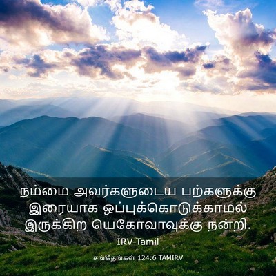 Picture 03 - சங்கீதங்கள் 124:6 TAMIRV - நம்மை அவர்களுடைய - Bible Verse Picture