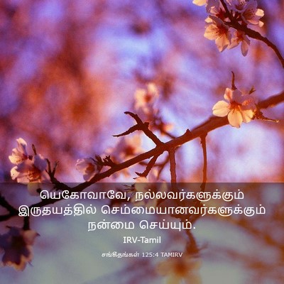 Picture 03 - சங்கீதங்கள் 125:4 TAMIRV - யெகோவாவே, - Bible Verse Picture