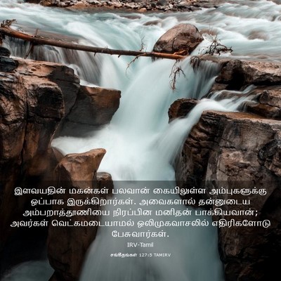 Picture 03 - சங்கீதங்கள் 127:5 TAMIRV - இளவயதின் மகன்கள் - Bible Verse Picture