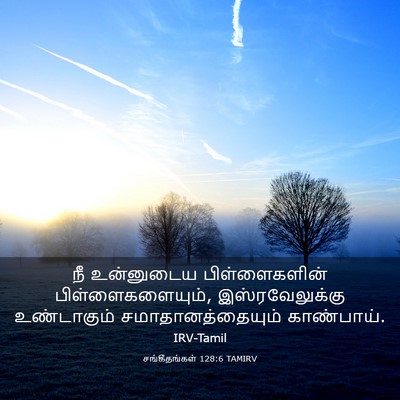 Picture 03 - சங்கீதங்கள் 128:6 TAMIRV - நீ உன்னுடைய - Bible Verse Picture
