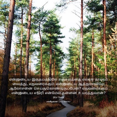 Picture 03 - சங்கீதங்கள் 13:2 TAMIRV - என்னுடைய - Bible Verse Picture