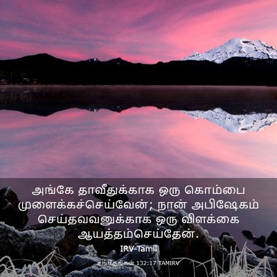 Picture 03 - சங்கீதங்கள் 132:17 TAMIRV - அங்கே தாவீதுக்காக - Bible Verse Picture