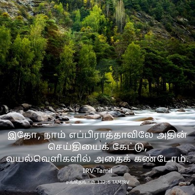 Picture 03 - சங்கீதங்கள் 132:6 TAMIRV - இதோ, நாம் - Bible Verse Picture
