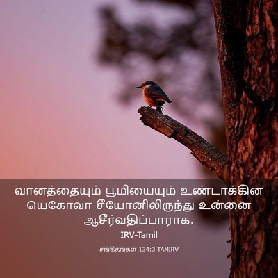 Picture 03 - சங்கீதங்கள் 134:3 TAMIRV - வானத்தையும் - Bible Verse Picture