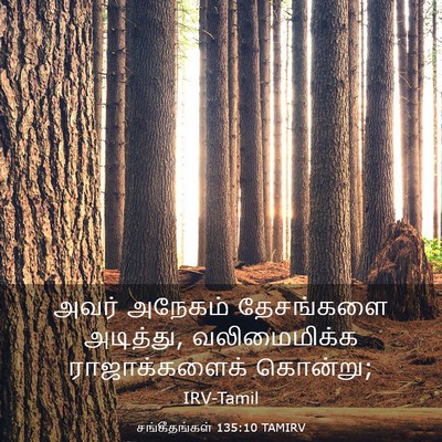 Picture 03 - சங்கீதங்கள் 135:10 TAMIRV - அவர் அநேகம் - Bible Verse Picture