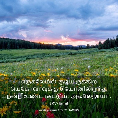 Picture 03 - சங்கீதங்கள் 135:21 TAMIRV - எருசலேமில் - Bible Verse Picture