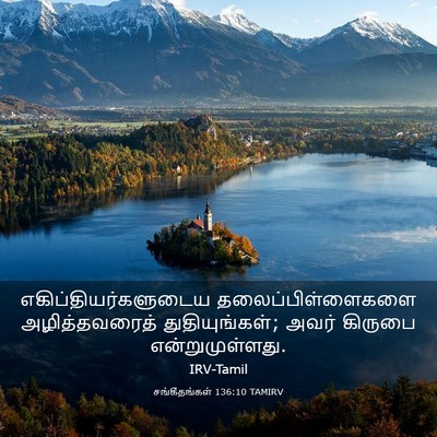 Picture 03 - சங்கீதங்கள் 136:10 TAMIRV - எகிப்தியர்களுடைய - Bible Verse Picture
