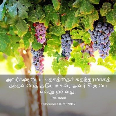 Picture 03 - சங்கீதங்கள் 136:21 TAMIRV - அவர்களுடைய - Bible Verse Picture