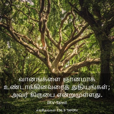Picture 03 - சங்கீதங்கள் 136:5 TAMIRV - வானங்களை ஞானமாக - Bible Verse Picture