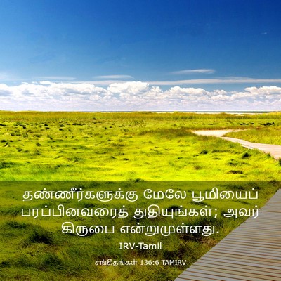Picture 03 - சங்கீதங்கள் 136:6 TAMIRV - தண்ணீர்களுக்கு - Bible Verse Picture