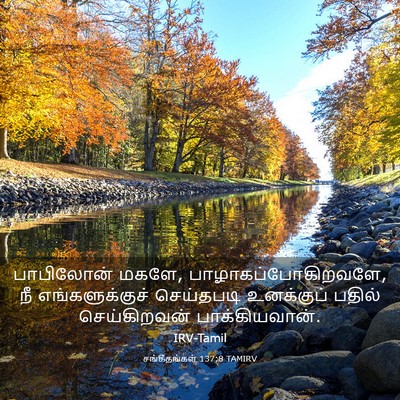 Picture 03 - சங்கீதங்கள் 137:8 TAMIRV - பாபிலோன் மகளே, - Bible Verse Picture