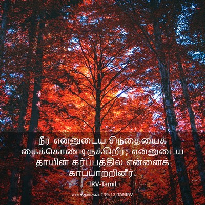 Picture 03 - சங்கீதங்கள் 139:13 TAMIRV - நீர் என்னுடைய - Bible Verse Picture