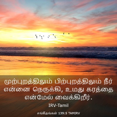 Picture 03 - சங்கீதங்கள் 139:5 TAMIRV - முற்புறத்திலும் - Bible Verse Picture