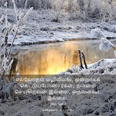Picture 03 - சங்கீதங்கள் 14:3 TAMIRV - எல்லோரும் - Bible Verse Picture
