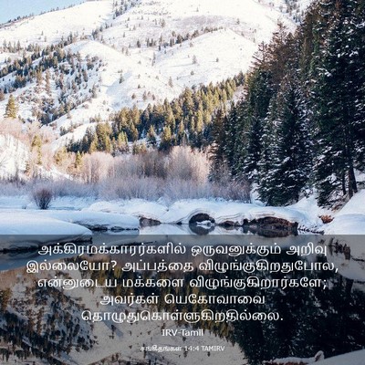 Picture 03 - சங்கீதங்கள் 14:4 TAMIRV -  - Bible Verse Picture