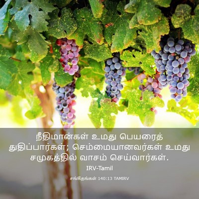Picture 03 - சங்கீதங்கள் 140:13 TAMIRV - நீதிமான்கள் உமது - Bible Verse Picture