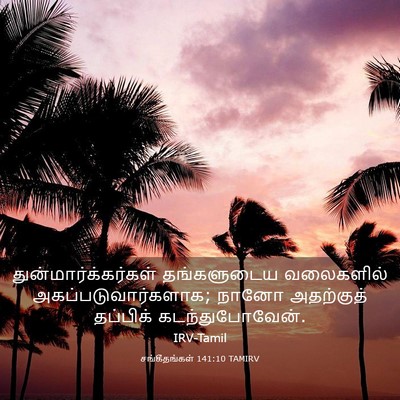 Picture 03 - சங்கீதங்கள் 141:10 TAMIRV - துன்மார்க்கர்கள் - Bible Verse Picture