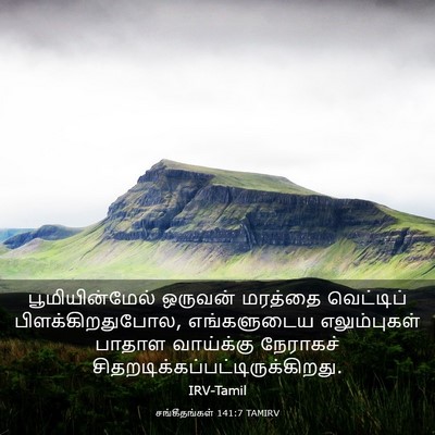Picture 03 - சங்கீதங்கள் 141:7 TAMIRV - பூமியின்மேல் - Bible Verse Picture