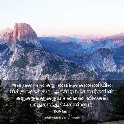 Picture 03 - சங்கீதங்கள் 141:9 TAMIRV - அவர்கள் எனக்கு - Bible Verse Picture