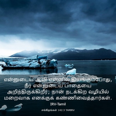 Picture 03 - சங்கீதங்கள் 142:3 TAMIRV - என்னுடைய ஆவி - Bible Verse Picture