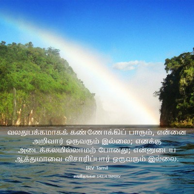 Picture 03 - சங்கீதங்கள் 142:4 TAMIRV - வலதுபக்கமாகக் - Bible Verse Picture