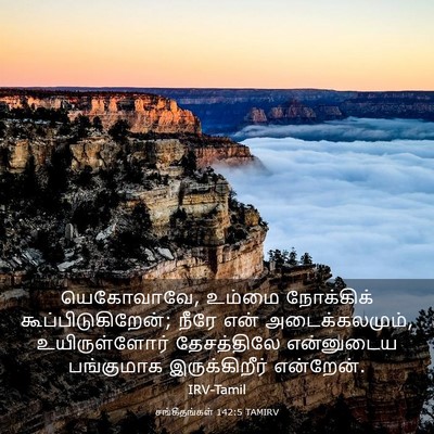 Picture 03 - சங்கீதங்கள் 142:5 TAMIRV - யெகோவாவே, உம்மை - Bible Verse Picture