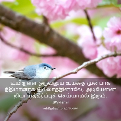 Picture 03 - சங்கீதங்கள் 143:2 TAMIRV - உயிருள்ள ஒருவனும் - Bible Verse Picture