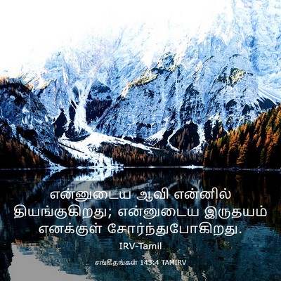 Picture 03 - சங்கீதங்கள் 143:4 TAMIRV - என்னுடைய ஆவி - Bible Verse Picture