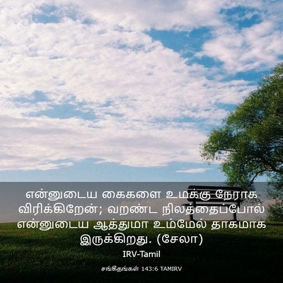 Picture 03 - சங்கீதங்கள் 143:6 TAMIRV - என்னுடைய கைகளை - Bible Verse Picture