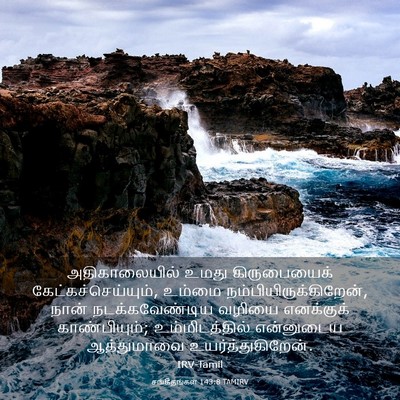Picture 03 - சங்கீதங்கள் 143:8 TAMIRV - அதிகாலையில் உமது - Bible Verse Picture