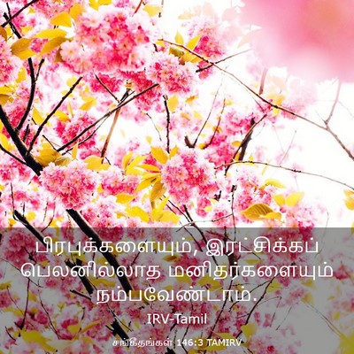 Picture 03 - சங்கீதங்கள் 146:3 TAMIRV - பிரபுக்களையும், - Bible Verse Picture