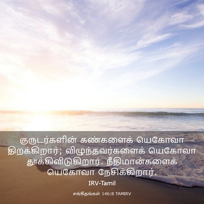 Picture 03 - சங்கீதங்கள் 146:8 TAMIRV - குருடர்களின் - Bible Verse Picture