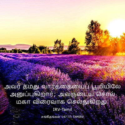 Picture 03 - சங்கீதங்கள் 147:15 TAMIRV - அவர் தமது - Bible Verse Picture