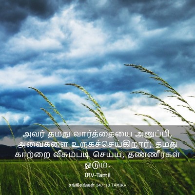 Picture 03 - சங்கீதங்கள் 147:18 TAMIRV - அவர் தமது - Bible Verse Picture