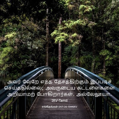 Picture 03 - சங்கீதங்கள் 147:20 TAMIRV - அவர் வேறே எந்த - Bible Verse Picture