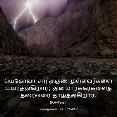 Picture 03 - சங்கீதங்கள் 147:6 TAMIRV - யெகோவா - Bible Verse Picture