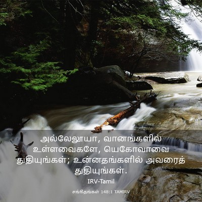 Picture 03 - சங்கீதங்கள் 148:1 TAMIRV - அல்லேலூயா, - Bible Verse Picture