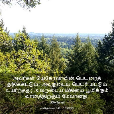 Picture 03 - சங்கீதங்கள் 148:13 TAMIRV - அவர்கள் - Bible Verse Picture