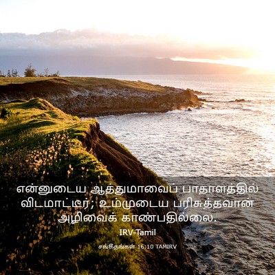Picture 03 - சங்கீதங்கள் 16:10 TAMIRV - என்னுடைய - Bible Verse Picture