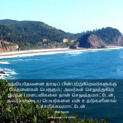 Picture 03 - சங்கீதங்கள் 16:4 TAMIRV - அந்நியதேவனை - Bible Verse Picture