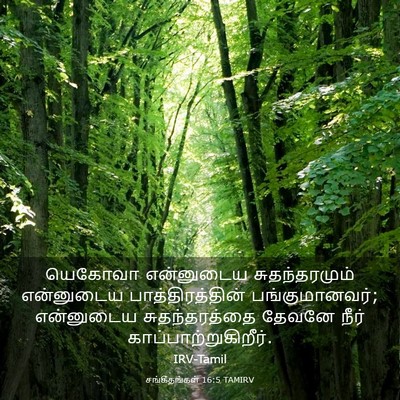 Picture 03 - சங்கீதங்கள் 16:5 TAMIRV - யெகோவா என்னுடைய - Bible Verse Picture