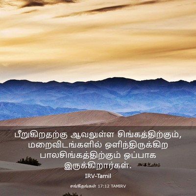 Picture 03 - சங்கீதங்கள் 17:12 TAMIRV - பீறுகிறதற்கு - Bible Verse Picture