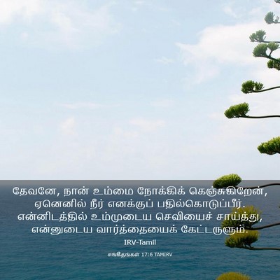 Picture 03 - சங்கீதங்கள் 17:6 TAMIRV - தேவனே, நான் உம்மை - Bible Verse Picture