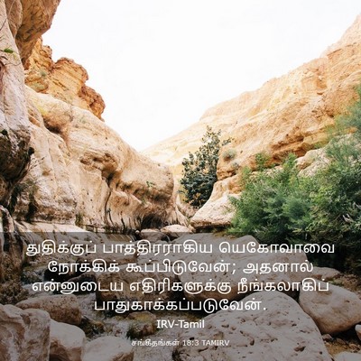 Picture 03 - சங்கீதங்கள் 18:3 TAMIRV - துதிக்குப் - Bible Verse Picture