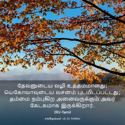 Picture 03 - சங்கீதங்கள் 18:30 TAMIRV - தேவனுடைய வழி - Bible Verse Picture